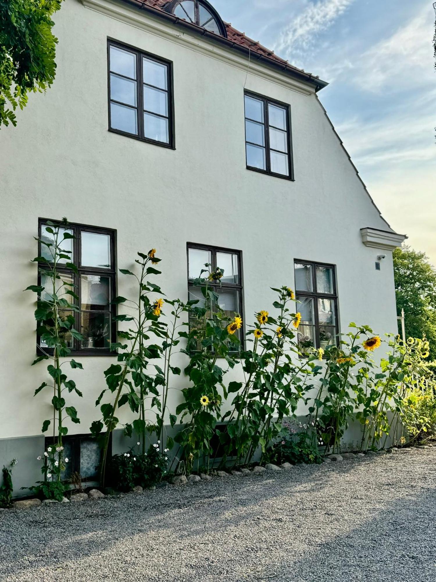 Stf Landskrona Hostel Landskrone Exterior photo